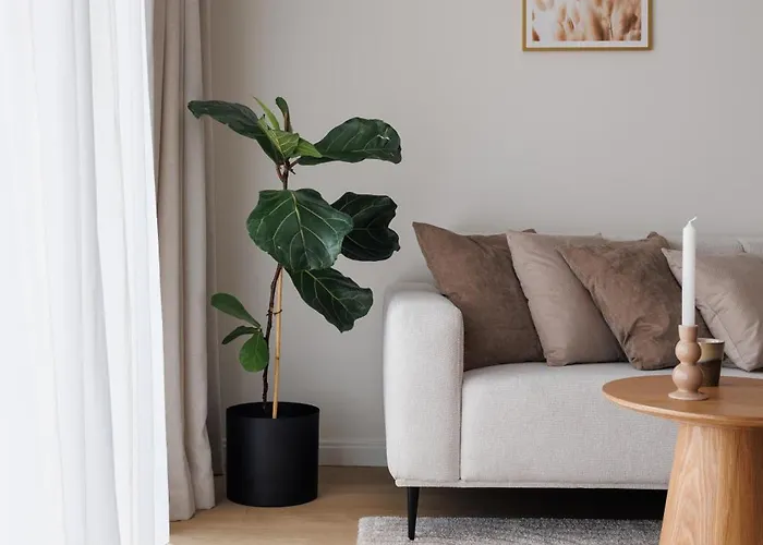 Kepa Mieszczanska Deluxe By Bookinghost Apartman *